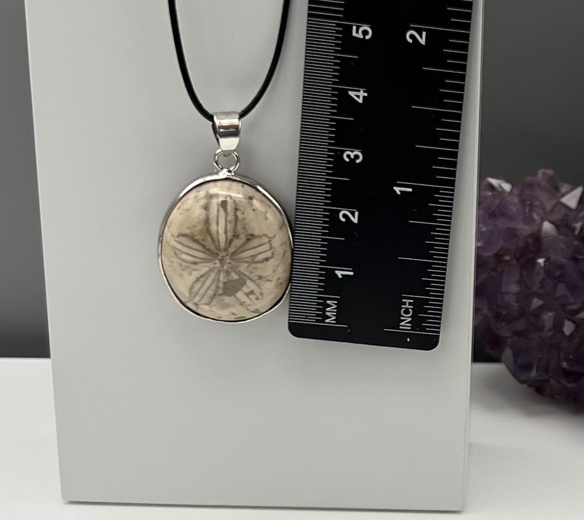 Seeigel Kette, Sanddollar Fossil Anhänger