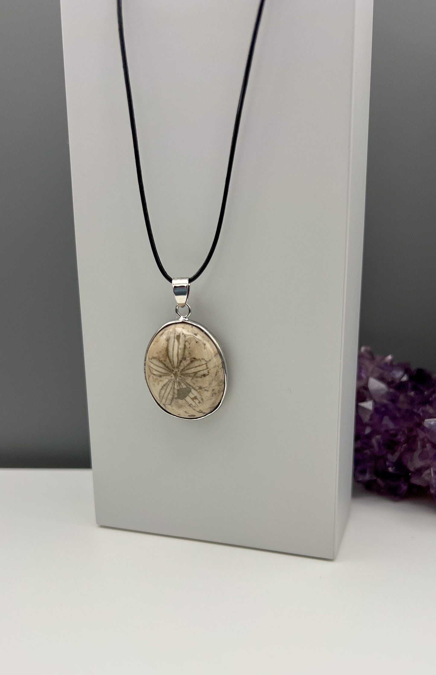 Seeigel Kette, Sanddollar Fossil Anhänger
