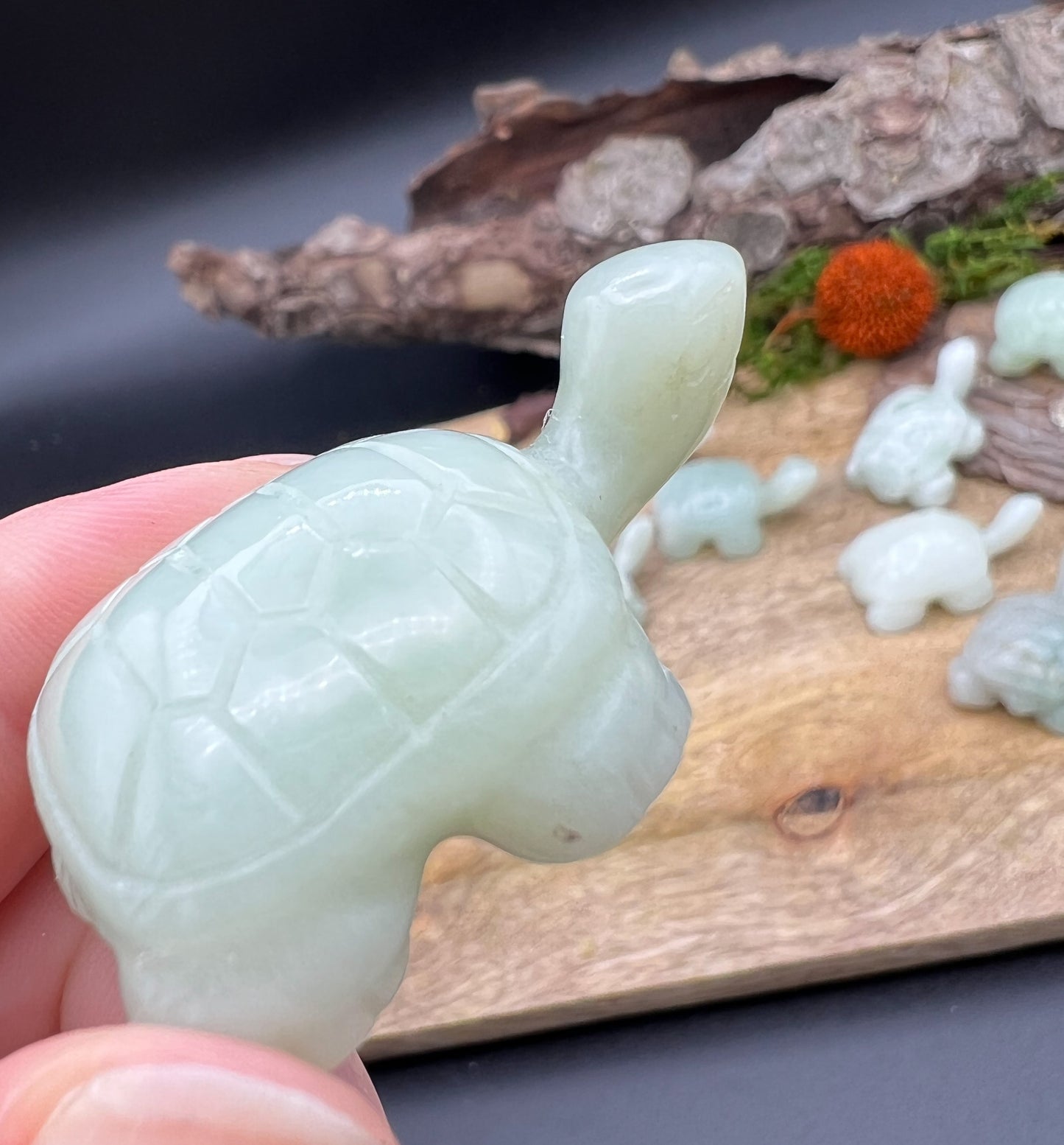 Jade Schildkröte Figur Gravur