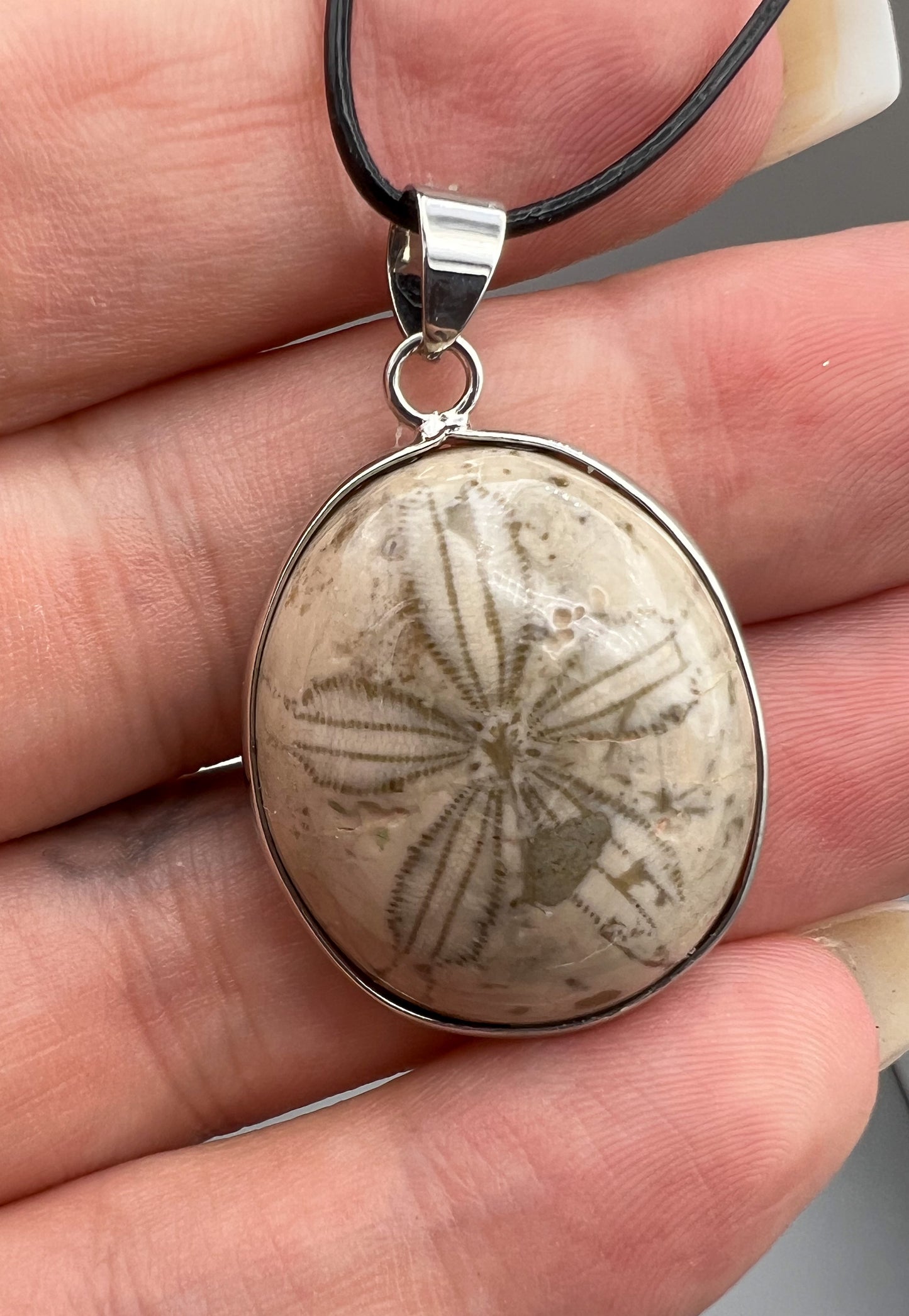 Seeigel Kette, Sanddollar Fossil Anhänger