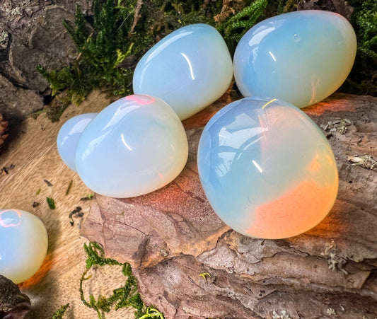 Opalith, opalin , Opal | Heilstein, Kristall | Trommelstein | regenbogenfarbig, bunt | Geschenk
