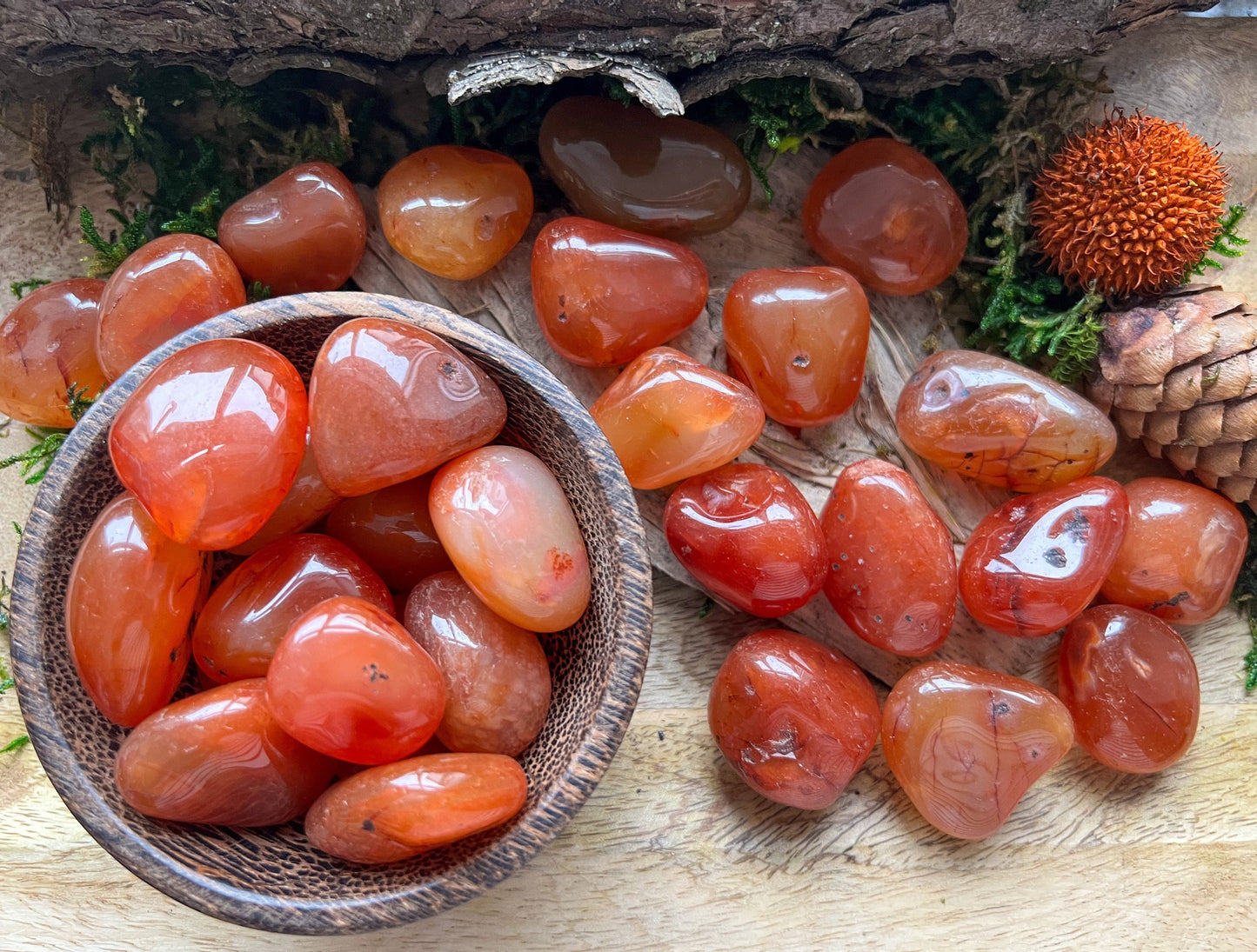 Karneol Carneol | Trommelsteine, poliert, Handschmeichler | rot orange | Chalcedon | Sakralchakra, Wurzel Chakra | Geschenk | Heilstein
