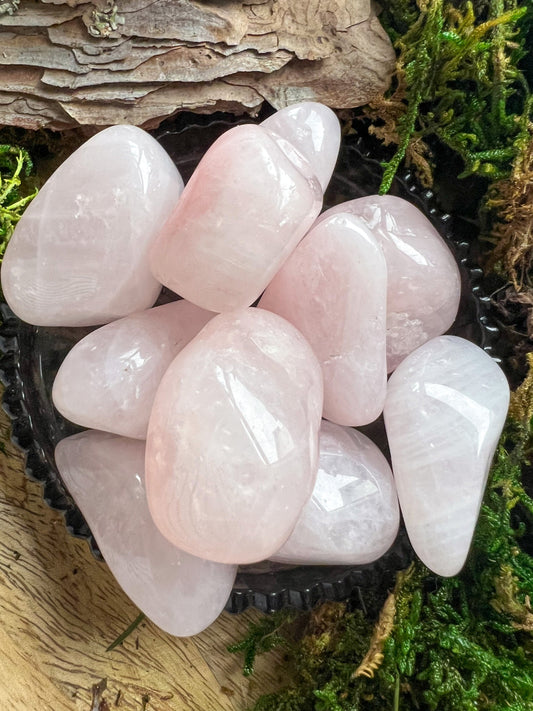 Rosenquarz | XS - XL | Trommelstein, poliert | Kristall, Heilstein, Edelstein | Herz Chakra | Geschenk | Stein der Liebe