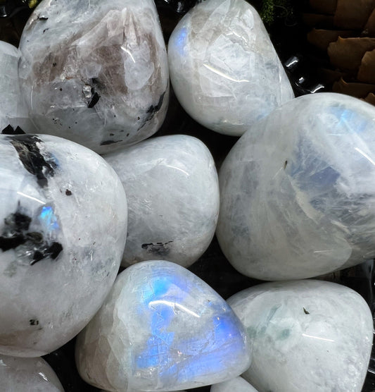 Weißer Labradorit, Regenbogen Mondstein | Blauschimmer Turmalin | Handschmeichler, Trommelstein, Kristall, Mineralien | Geschenk Reiki