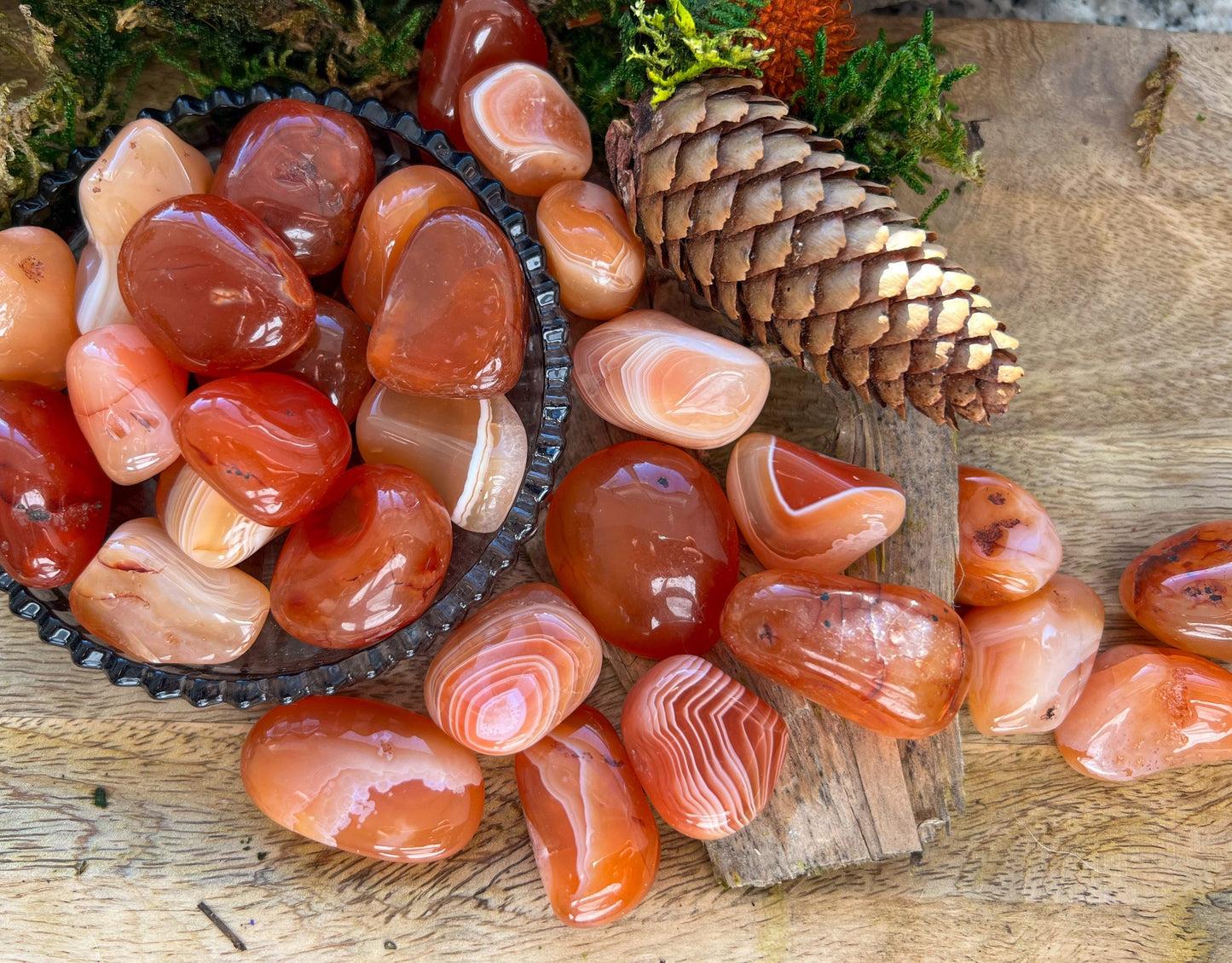 Karneol Carneol | Trommelsteine, poliert, Handschmeichler | rot orange | Chalcedon | Sakralchakra, Wurzel Chakra | Geschenk | Heilstein