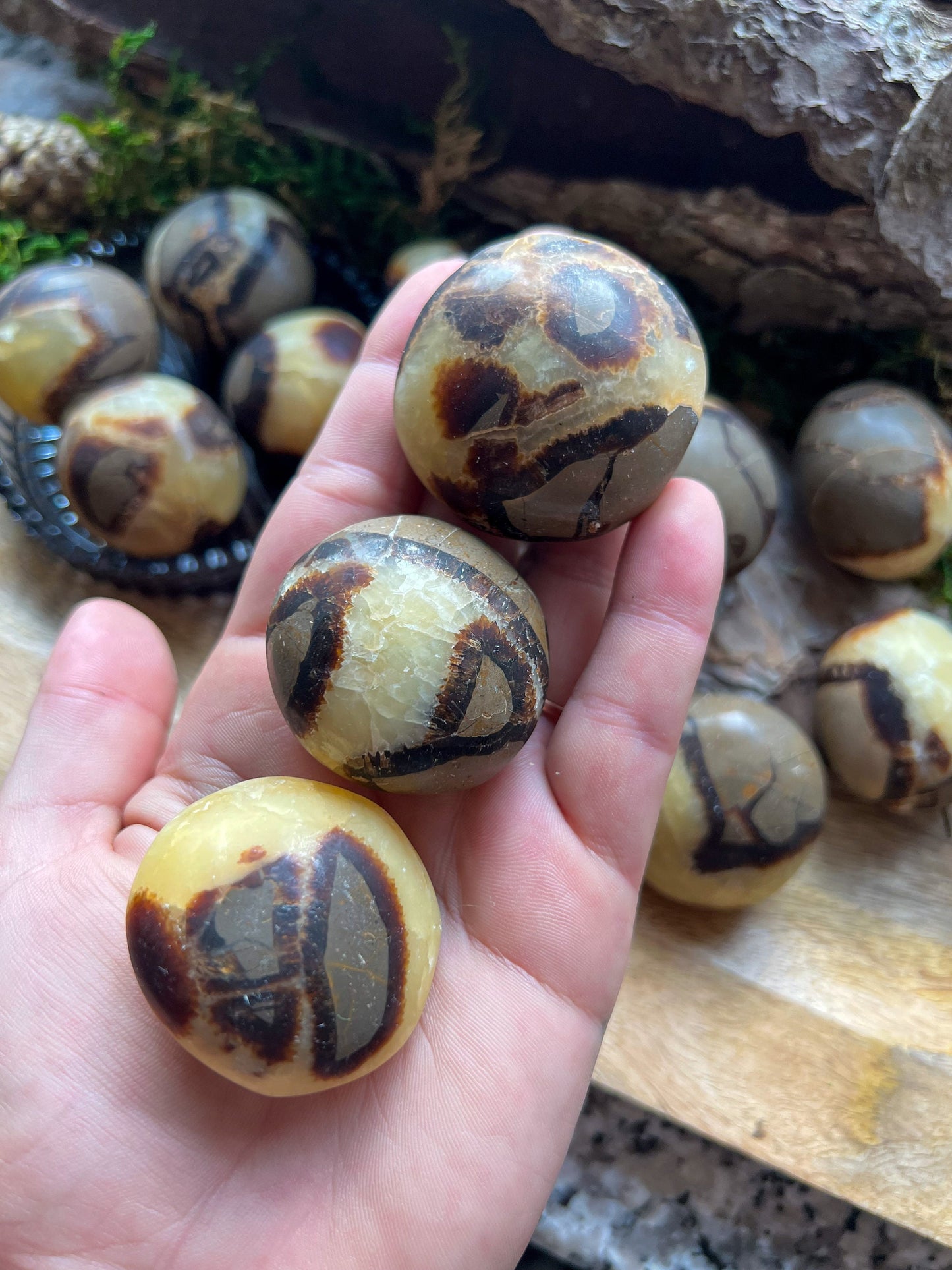 XXL Separie / Drachenstein | Trommelstein, Handschmeichler | Mineralien, edelstein, Heilstein, Kristall | Kugel, rund, poliert | Geschenk