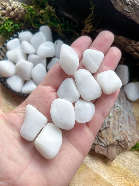Milchquarz / Schneequarz | Trommelsteine, poliert Handschmeichler | Reiki | Kristall, Heilstein, Edelstein | Geschenk spirituell Chakra medi