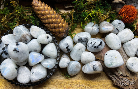 Weißer Labradorit, Regenbogen Mondstein | Blauschimmer Turmalin | Handschmeichler, Trommelstein, Kristall, Mineralien | Geschenk Reiki