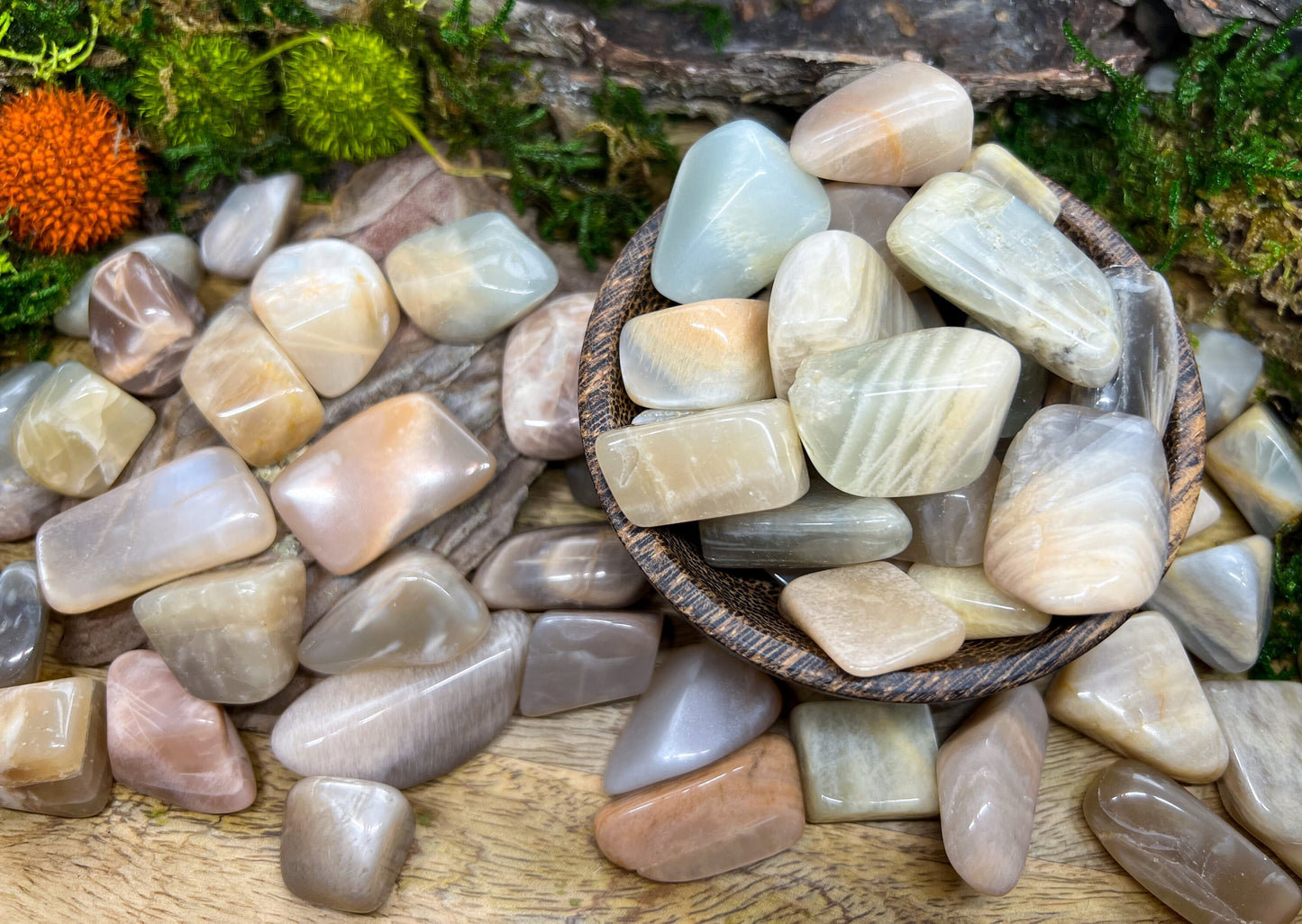 Mondstein Trommelsteine | Kristalle, Heilsteine, Edelsteine | spirituelles Geschenk | Mineralien Chakra