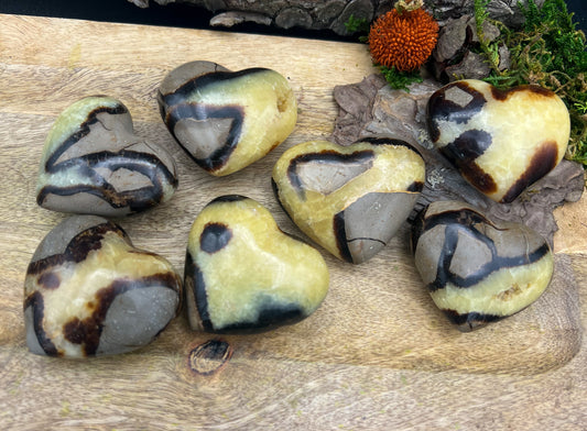 Septarie Drusen Herzen XL