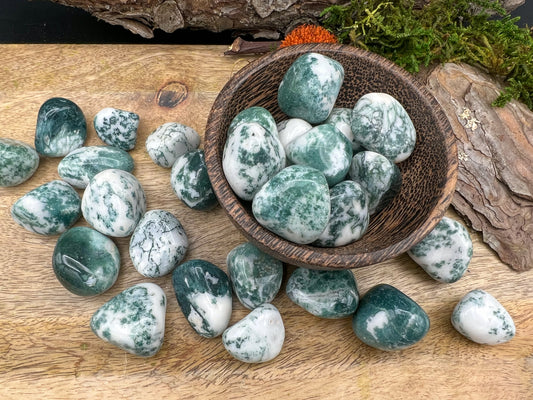 Baumachat Trommelsteine