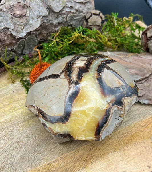 Septarie Freeform Anschliff